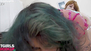 Dahlia Crimson & Erica Cherry